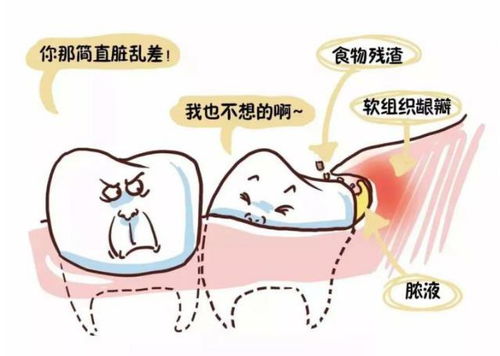 智齒,典故