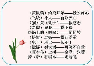 含有典故的歇后語(yǔ),關(guān)于三國的典故和歇后語(yǔ),關(guān)于典故的歇后語(yǔ)有哪些?