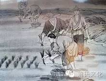 蕭緹典故