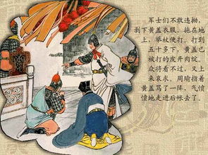 三國演義經(jīng)典故事,三國演義經(jīng)典故事20個(gè),三國演義經(jīng)典故事情節