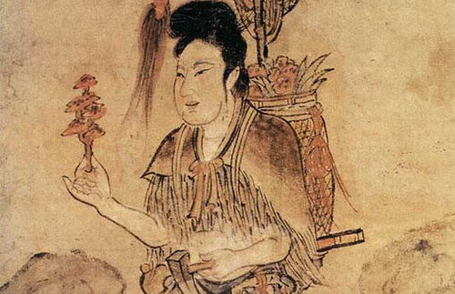 三七典故傳說(shuō),三七二十二的典故,三七二十四的典故