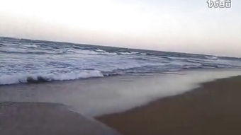 關(guān)于大海的典故,大海的由來(lái)和典故,大海盲龜的典故