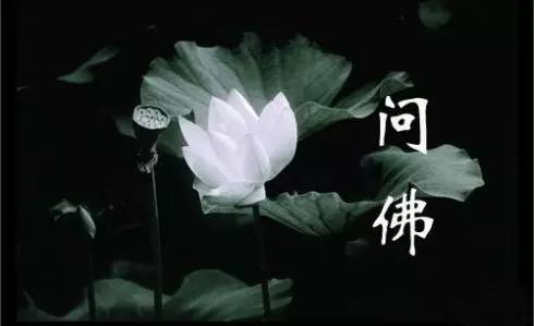 蓮桂香典故