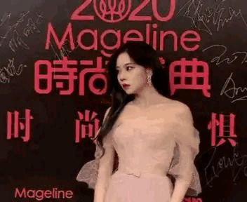 張紫的典故