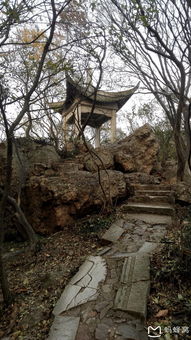 紫金山,典故