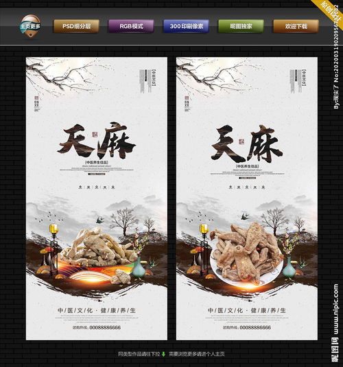 天麻,典故