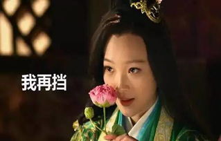 魏美人割鼻子典故,魏美人割鼻子典故成語(yǔ),楚國被割鼻子的美人