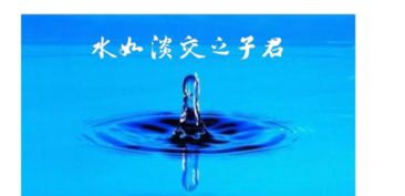 淡如水的典故