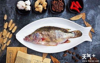 桂魚(yú)典故