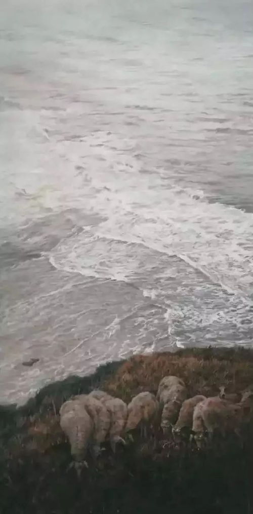 大海的典故