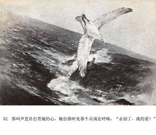 雪雁典故
