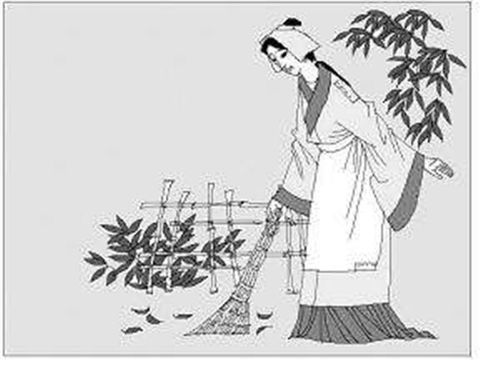 典故及道理