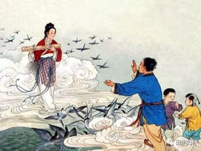 白頭偕老,典故