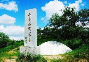 吊王將軍墓運用典故