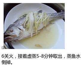 鱸魚(yú),典故