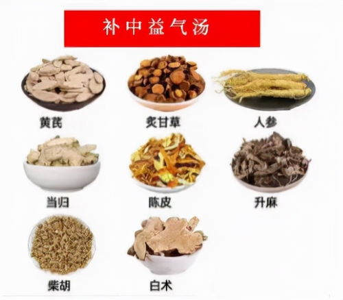 黃芪的典故