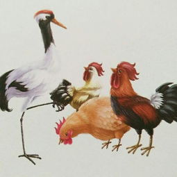 鶴立雞群典故,鶴立雞群典故簡(jiǎn)說(shuō),鶴立雞群典故出處