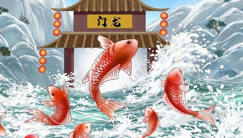 鯉魚(yú),典故