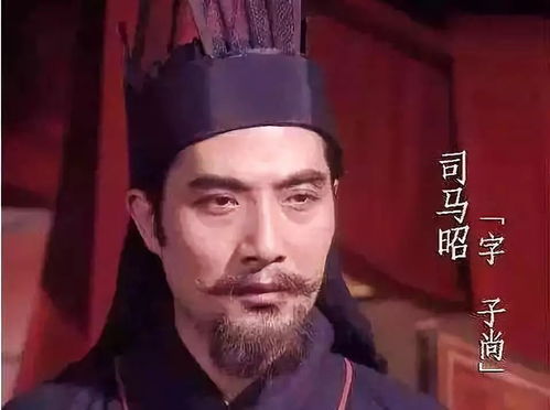 司馬昭的典故