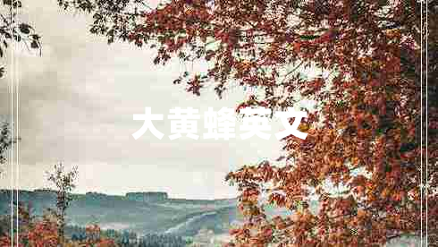 大黃蜂英文