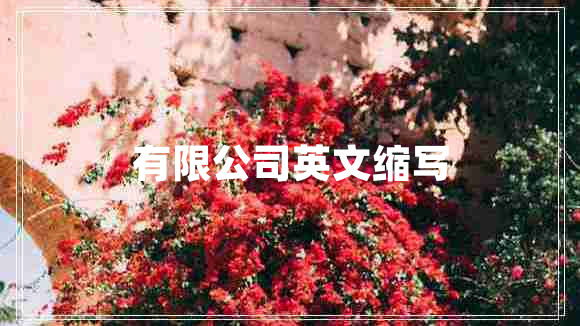 有限公司英文縮寫(xiě)