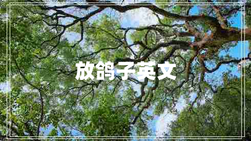 放鴿子英文