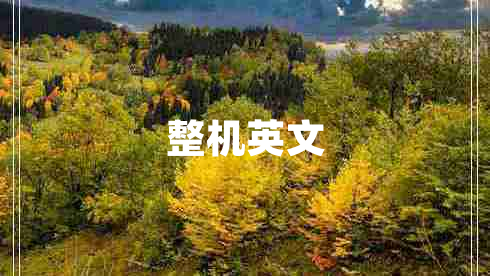 整機英文