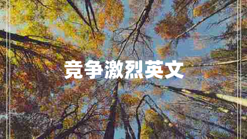 競爭激烈英文