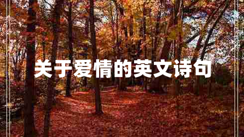 關(guān)于愛(ài)情的英文詩(shī)句