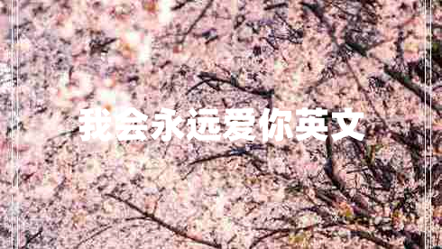 我會(huì )永遠愛(ài)你英文