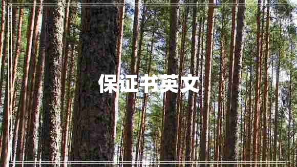保證書(shū)英文
