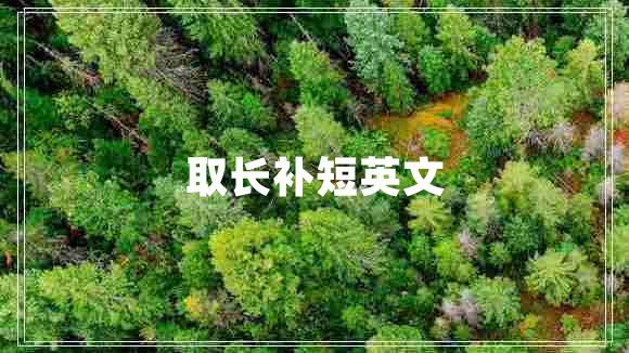 取長(cháng)補短英文