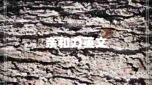 親和力英文