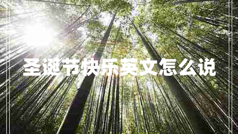 圣誕節快樂(lè )英文怎么說(shuō)