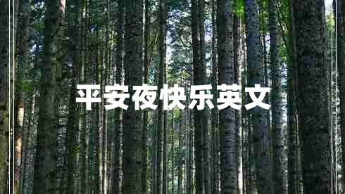 平安夜快樂(lè )英文