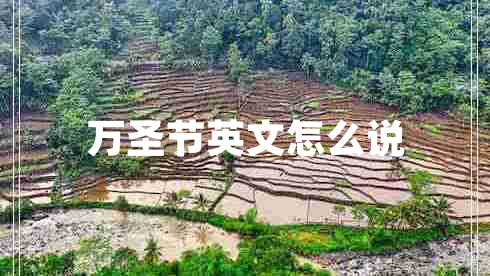 萬(wàn)圣節英文怎么說(shuō)