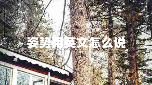 姿勢用英文怎么說(shuō)