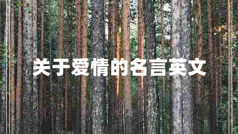 關(guān)于愛(ài)情的名言英文