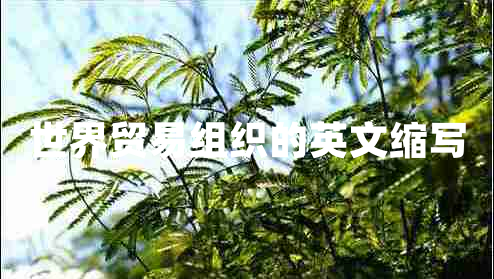 世界貿易組織的英文縮寫(xiě)
