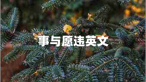事與愿違英文