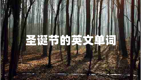 圣誕節的英文單詞