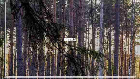 提綱英文