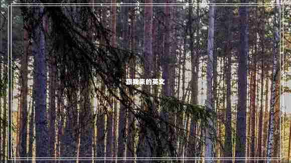 跟我來(lái)的英文