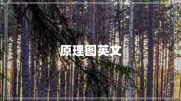 原理圖英文