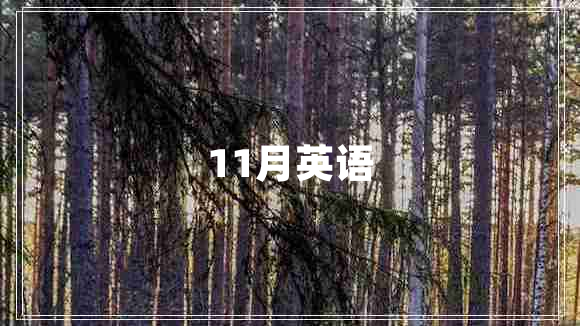 11月英語(yǔ)