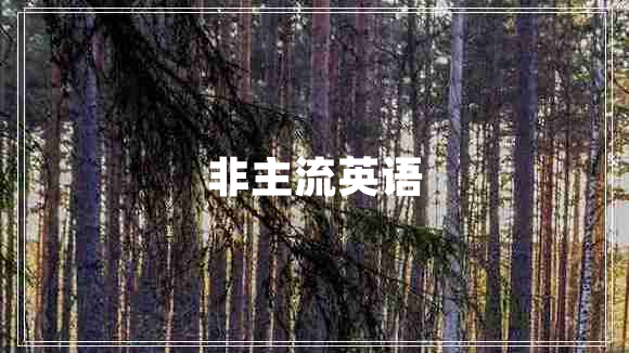 非主流英語(yǔ)
