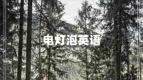 電燈泡英語