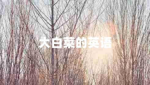 大白菜的英語(yǔ)