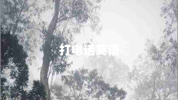 打電話英語(yǔ)
