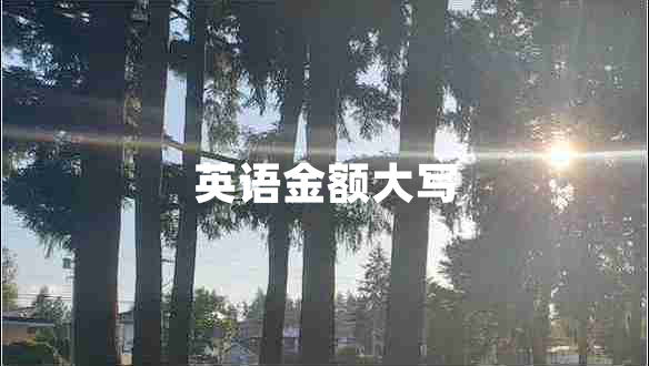英語(yǔ)金額大寫